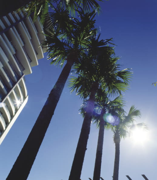 Altura Pacific Place