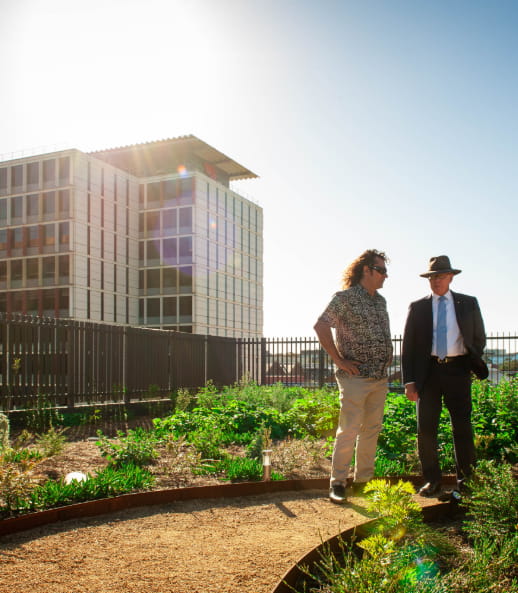 Yerrabingin rooftop farm