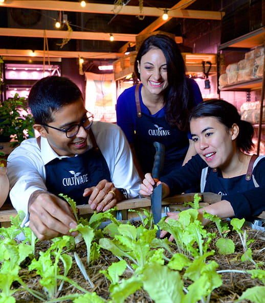 Cultivate Mirvac Innovation