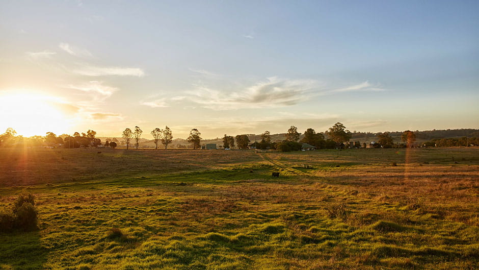 Scenic image of land in Menangle 