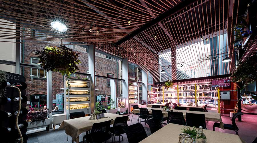 Cultivate underground gardening centre