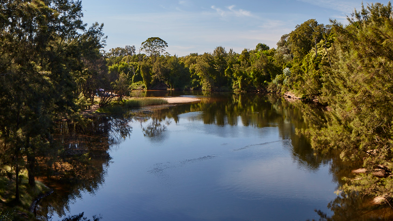 Natural Lake Landscape Image 